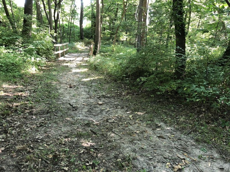 Wide trail crossing Quarry Creek near the trail parking area.