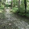 Wide trail crossing Quarry Creek near the trail parking area.