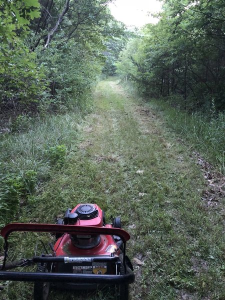 Volunteer working on mowing the trail. Just a little more to go.