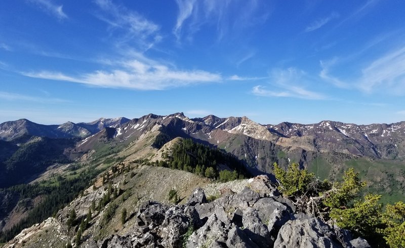 View looking west from top of Kessler