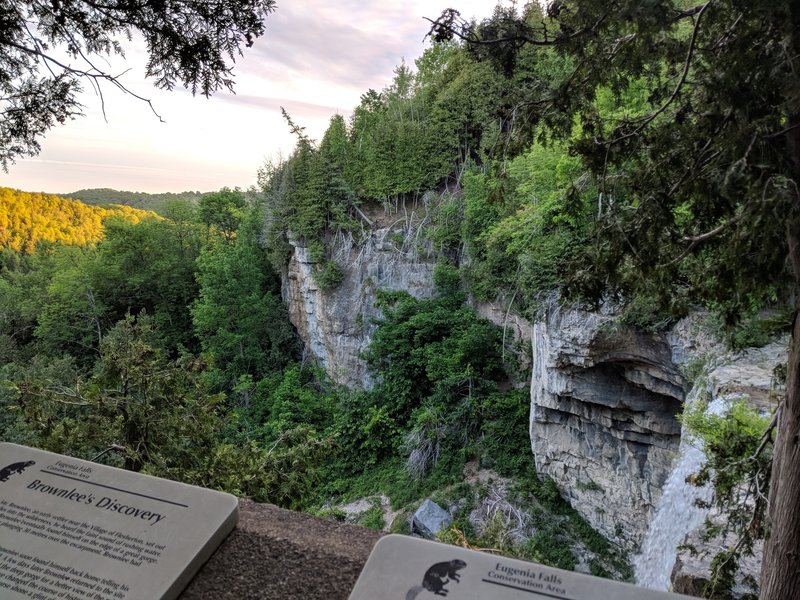 Eugenia Falls valley view