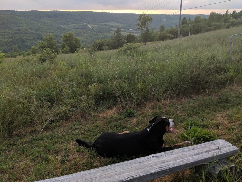 Viewpoint overlooking the Beaver Valley