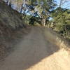 Looking up Oat Hill Mine Trail