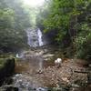 Getting my paws wet at Bubbling Spring Fall #1. A great place to play and get wet.