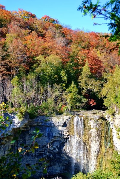 Eugenia Falls in the fall