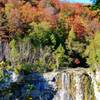 Eugenia Falls in the fall