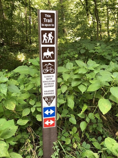 Showing trail signs. This is a blue and red trail.