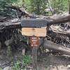 Heed the notice. These connector trails are great family trails, but they’re about 50% horse latrine.