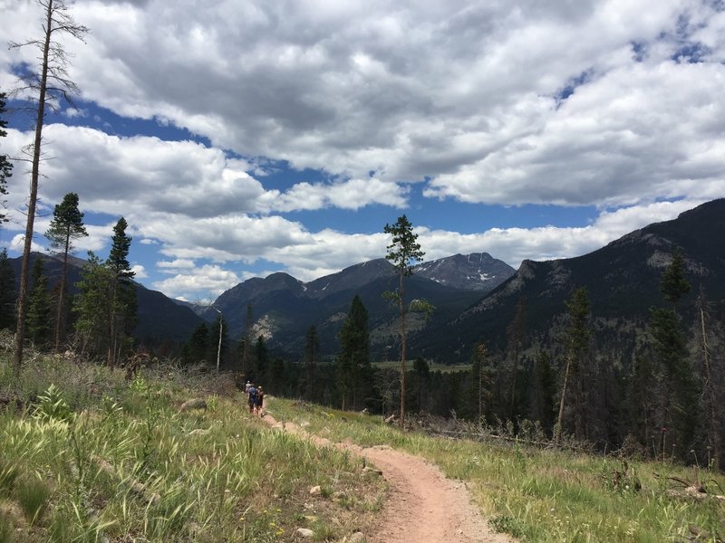 View west from Deer Mountain connectors loop.