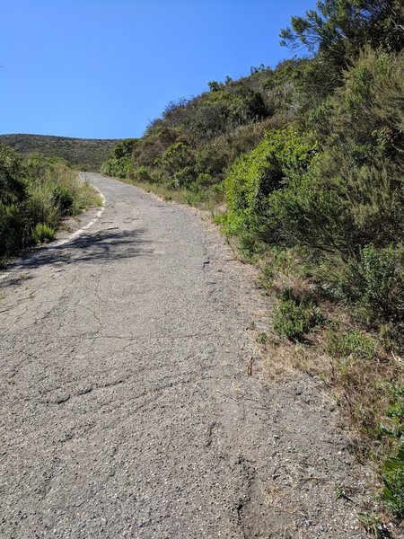 Steep uphill with clear trail