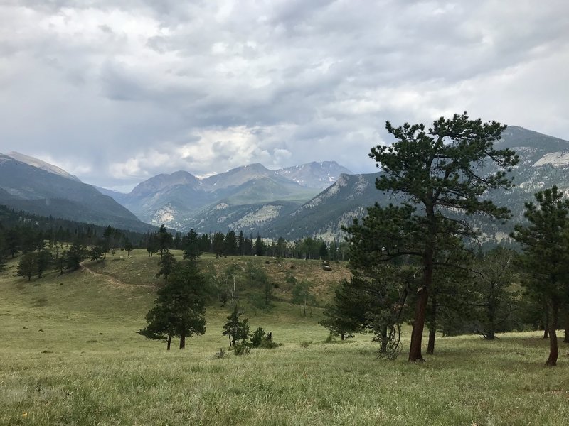 Looking west toward the Mummy Range