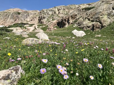 Near tree line close to the Crystal Lakes