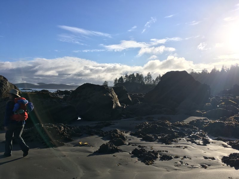 Nothing can top an early morning hike along the Olympic  Coast.