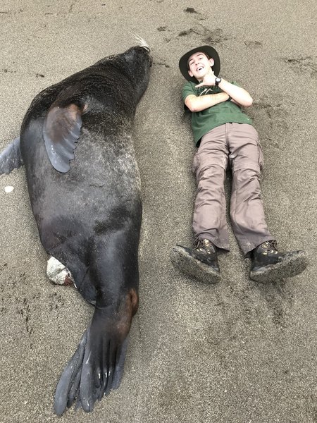 Me and a huge dead sea lion on the beach. It really gives you an appreciation of their size.