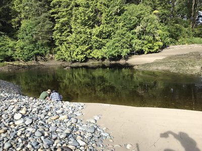 Reflections on the Ozette.