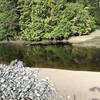 Reflections on the Ozette.