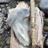 A whale bone found on the beach.