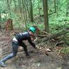 My brother cutting up a log on the trail.