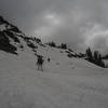 Hiking along the road, which is thoroughly covered in snow.