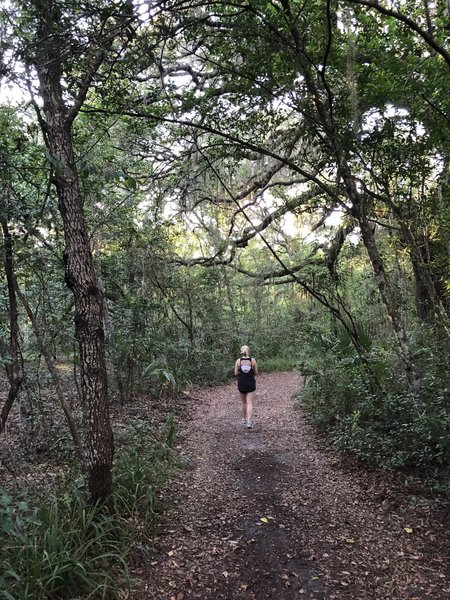 A bend in the trail