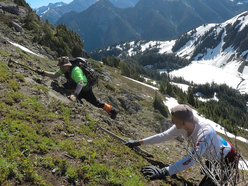 Gripping the side of a steep hill above the trail, which was covered in an icy snowfield.