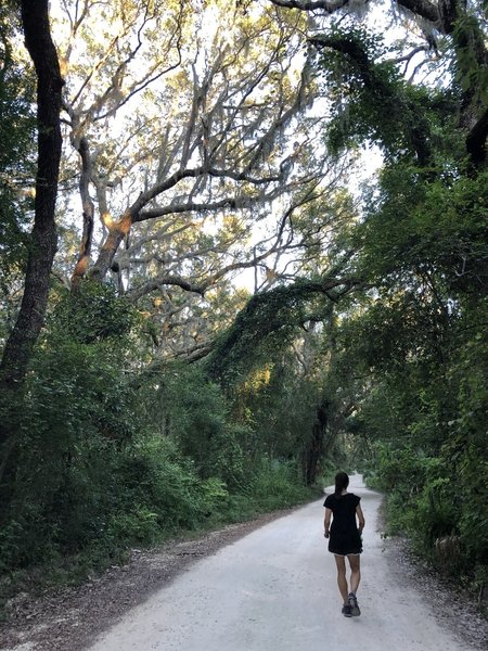 The road portion of the trail that is the alternative to looping back on the dirt path.