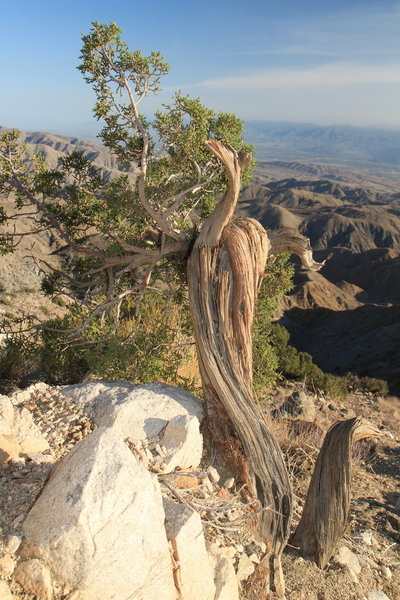 Keys view