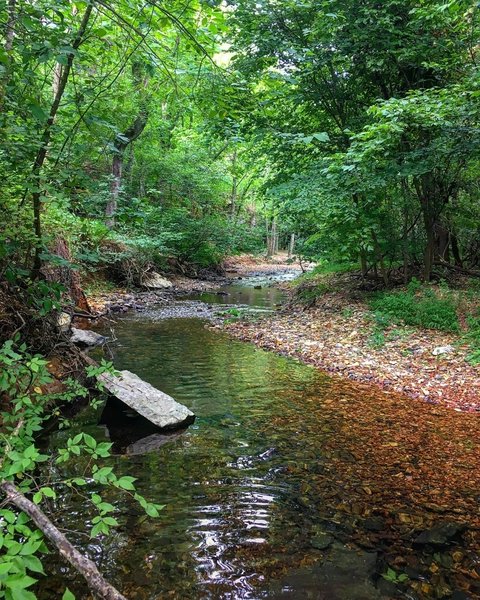 Tanyard Creek