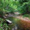 Tanyard Creek