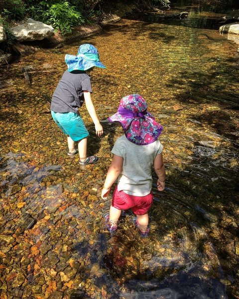 Creek Play