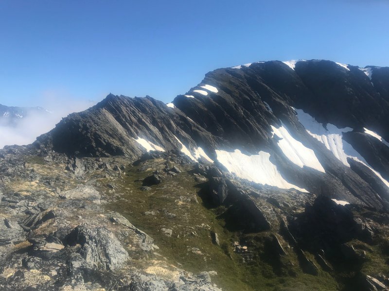 Looking up towards Mt. Alyeska