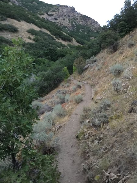 Pipe fragments straddle the trail into Dueul Creek on the south side.