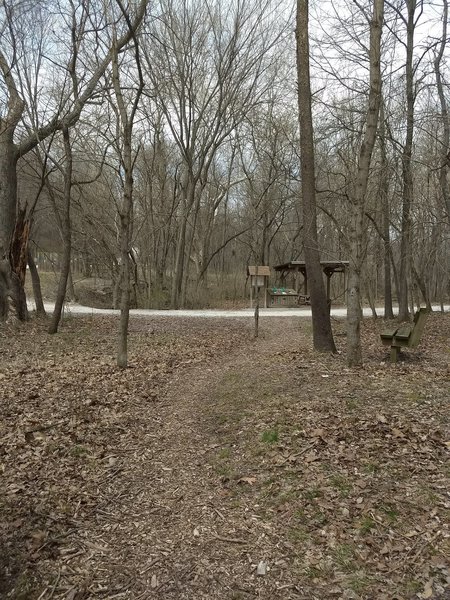 View at the bottom of the Hickory Trail where you come up to the gravel road. Walt's Pond is to the left