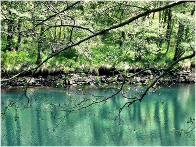 Fragas do Eume (Coruña)