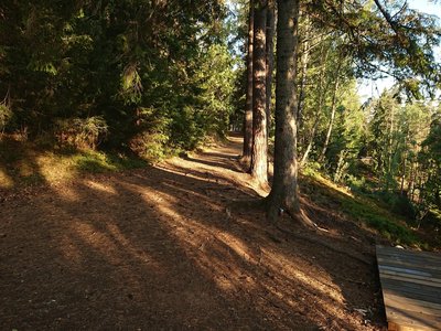 near the zipline platform, you can see the Lean-to at the bottom of the hill.