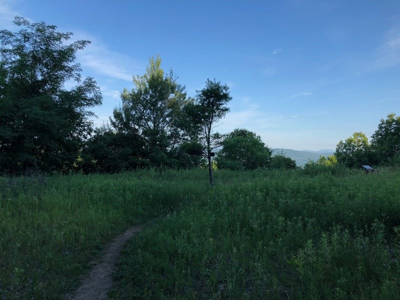 The small meadow next to the gazebo