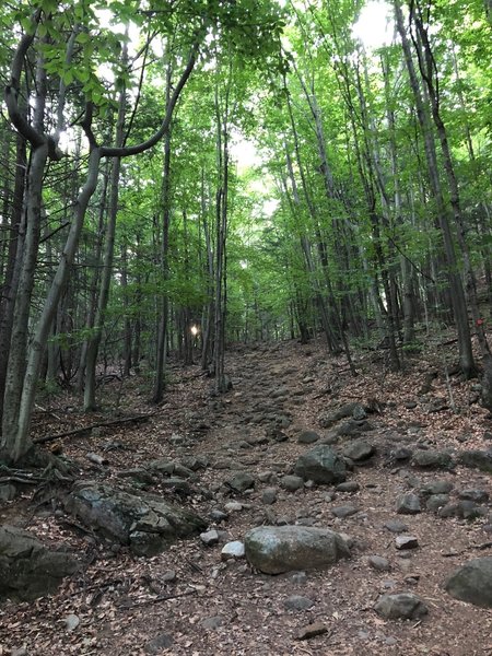 Lots o' rocks plus steep