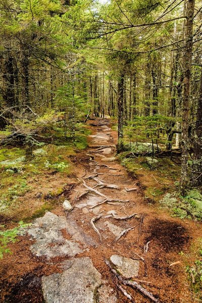 Walking between two summits