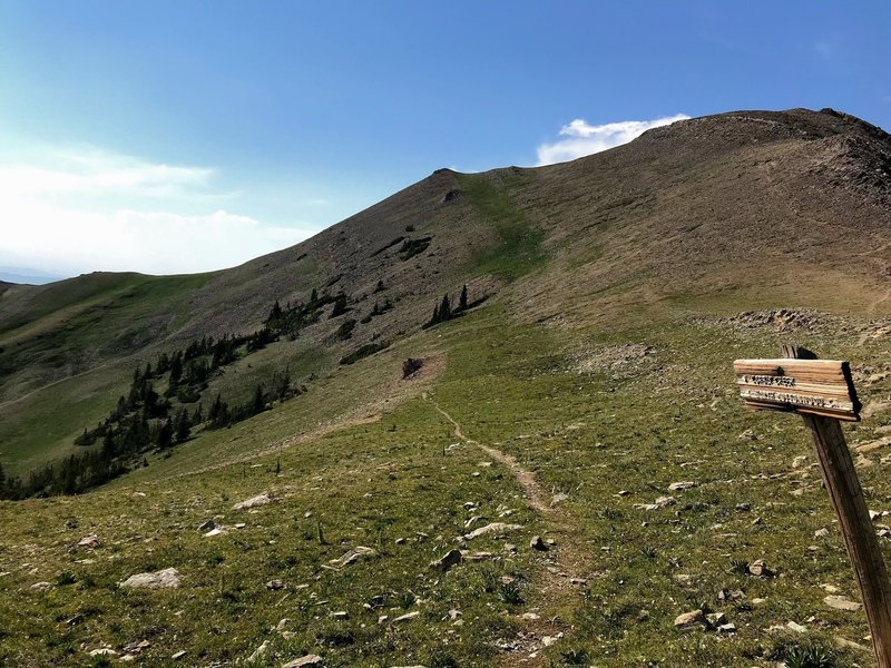 Start of the North Cottonwood and Corbly Gulch trails