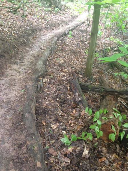 Clear SingleTrack