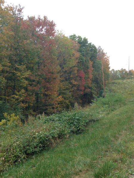 A beautiful fall hike!