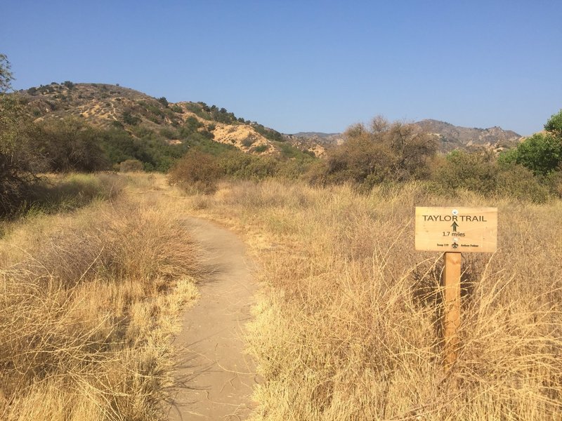 Trailhead of Taylor Trail from Ed Davis Park/Rivendale Ranch parking lot (north west side of the parking lot)