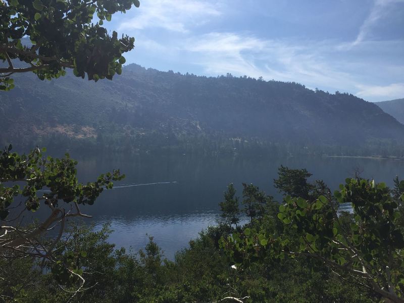 View of Sliver Lake