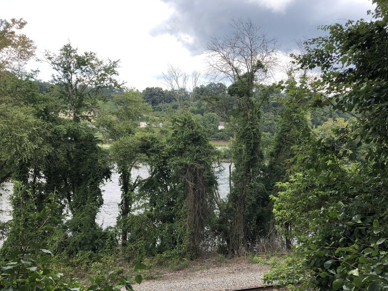 View of the French Broad River - One of the largest rivers in North Carolina