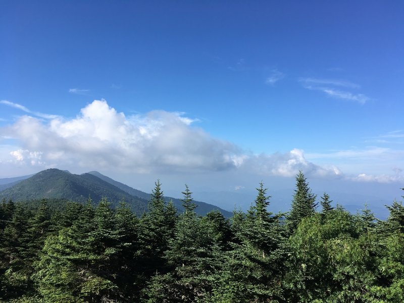 View towards Maple Bald