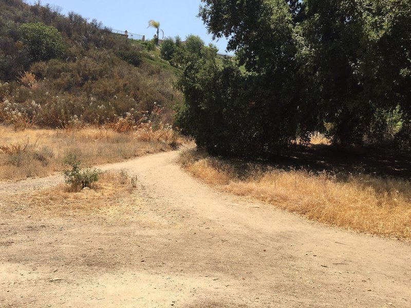 Pico Canyon Park trail