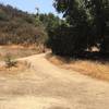 Pico Canyon Park trail