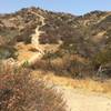 Pico Canyon Park trail - on left of the trail, you see another opportunity to climb dirt staircase which leads into the open space and a number of crisscrossing trails.