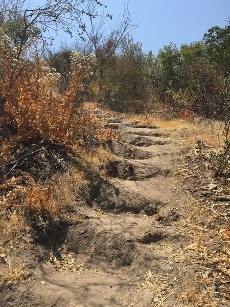 Pico Canyon Park trail - at the 0.5 mile marker, these are the dirt steps (about 340 steps) that lead you up the top of the hill with nice view and great cardio exercise