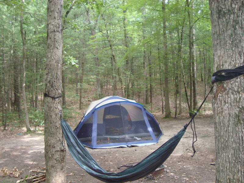 Tent and hammocks are welcome at Silver Creek Campground.